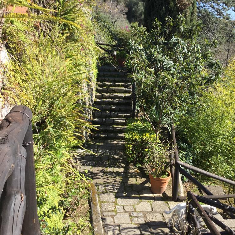 B&B Le Tre Casette Maratea Eksteriør bilde
