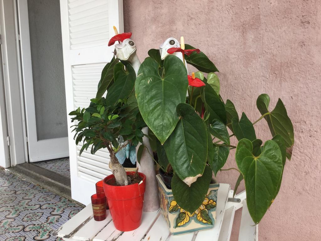 B&B Le Tre Casette Maratea Eksteriør bilde